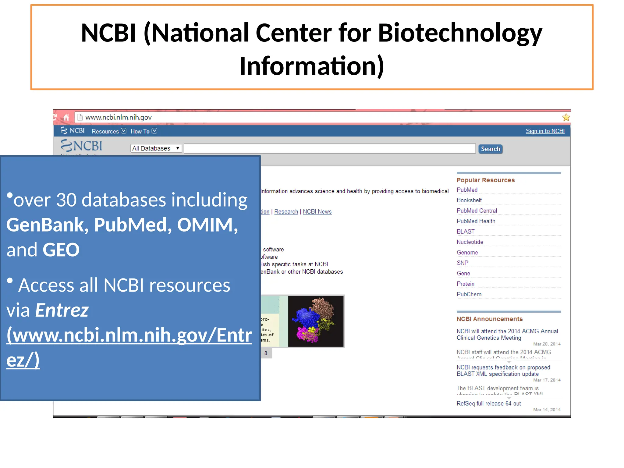 NCBI (National Center for Biotechnology
Information)
•over 30 databases including
GenBank, PubMed, OMIM,
and GEO
• Access all NCBI resources
via Entrez
(www.ncbi.nlm.nih.gov/Entr
ez/)
 