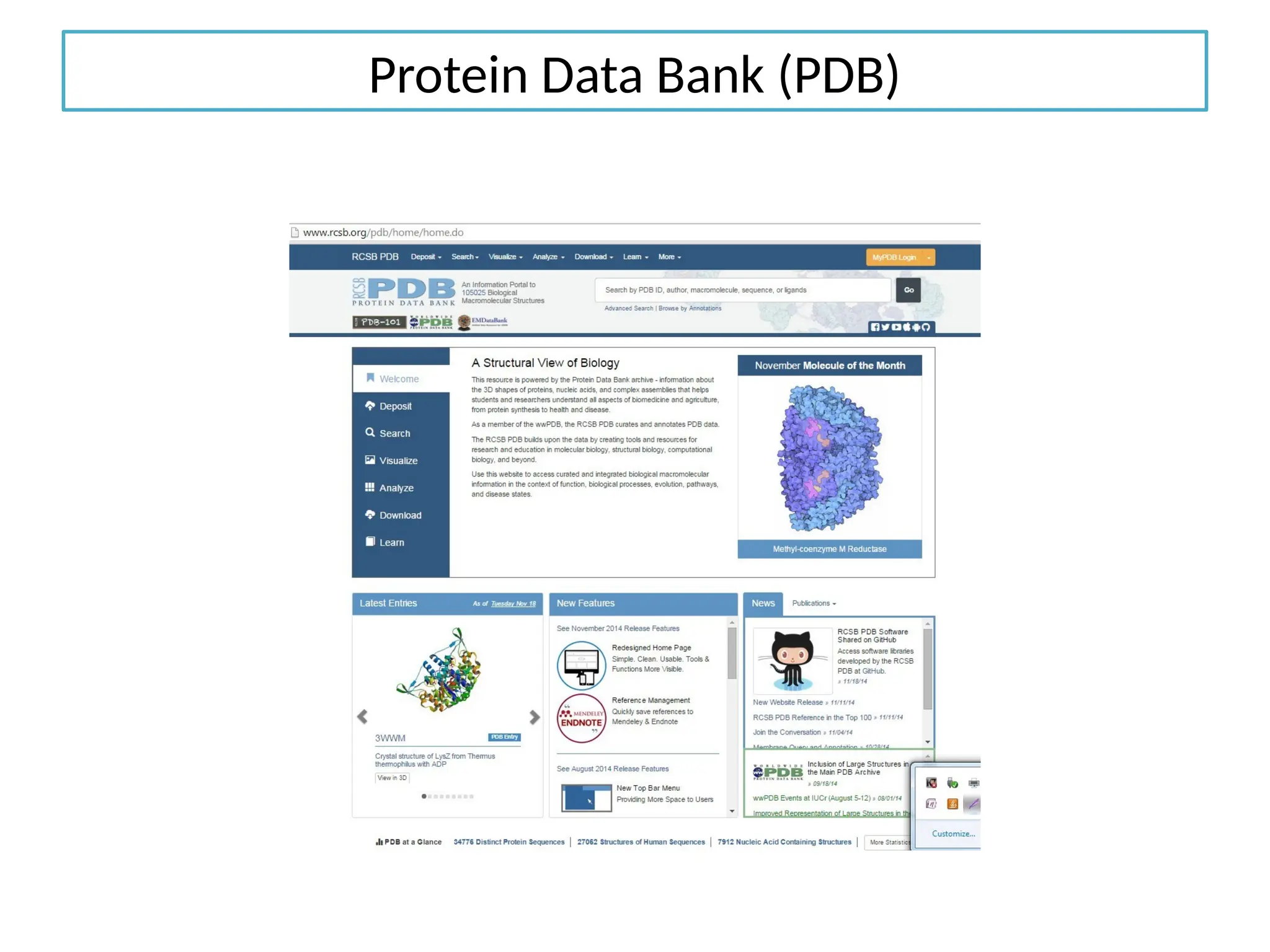 Protein Data Bank (PDB)
 