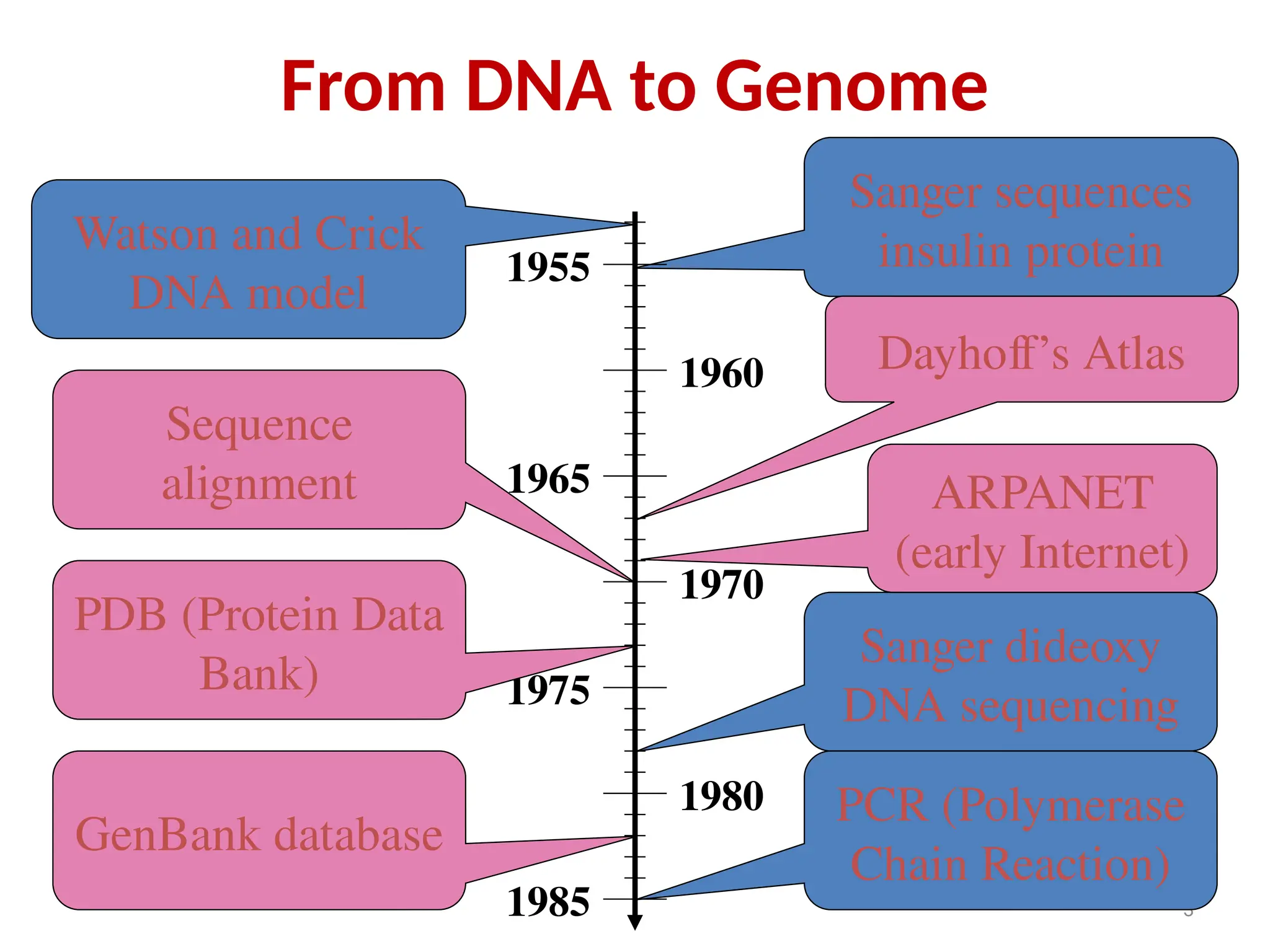 From DNA to Genome
3
Watson and Crick
DNA model
Sanger sequences
insulin protein
Sanger dideoxy
DNA sequencing
PCR (Polymerase
Chain Reaction)
1955
1960
1965
1970
1975
1980
1985
ARPANET
(early Internet)
PDB (Protein Data
Bank)
Sequence
alignment
GenBank database
Dayhoff’s Atlas
 