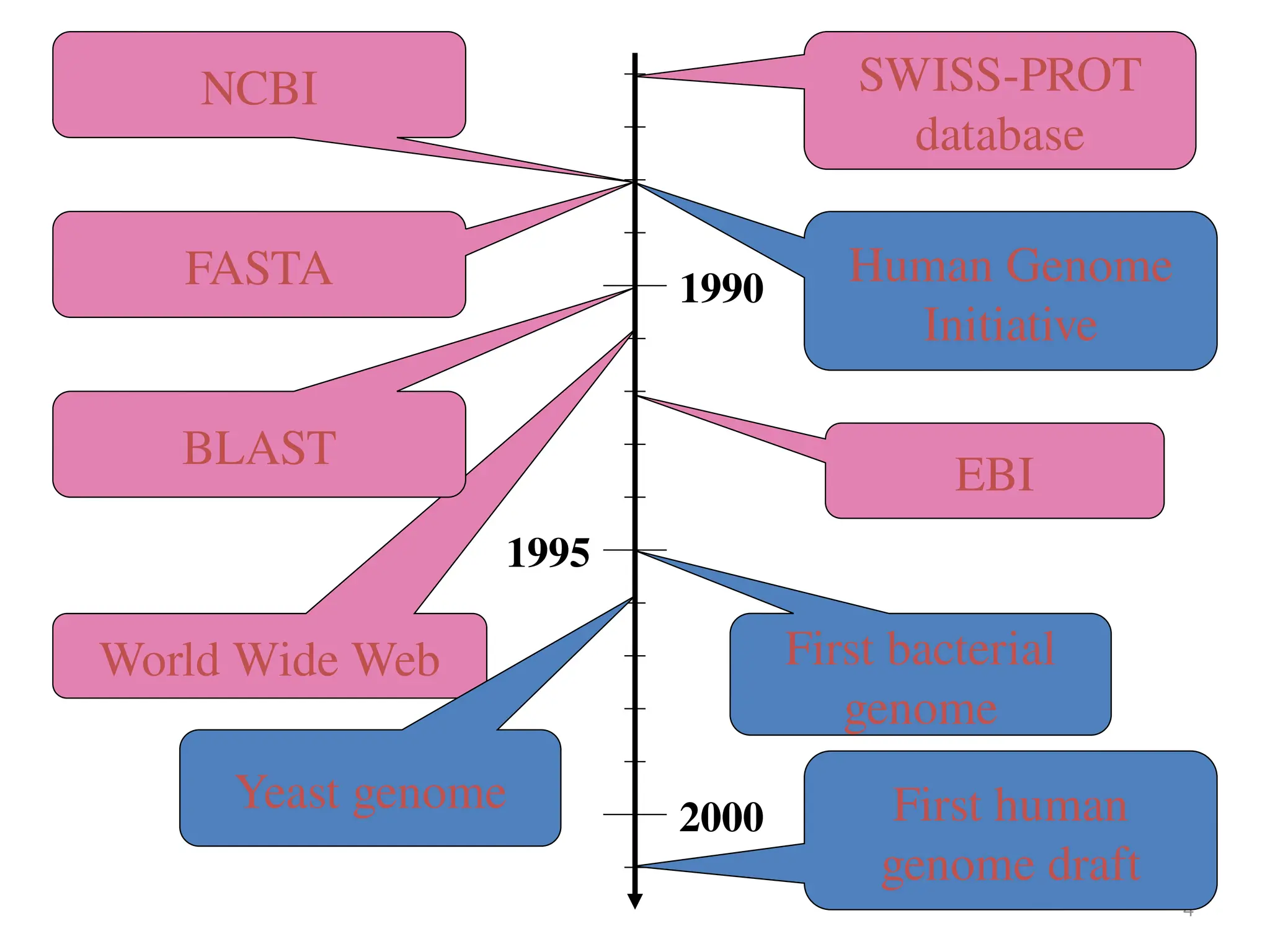 4
1995
1990
2000
SWISS-PROT
database
NCBI
World Wide Web
BLAST
FASTA
EBI
Human Genome
Initiative
First human
genome draft
First bacterial
genome
Yeast genome
 
