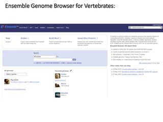 Ensemble Genome Browser for Vertebrates:
 