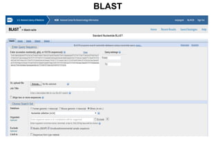BLAST
20
 