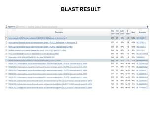 21
BLAST RESULT
 