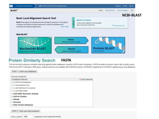 32
FASTA
NCBI-BLAST
 