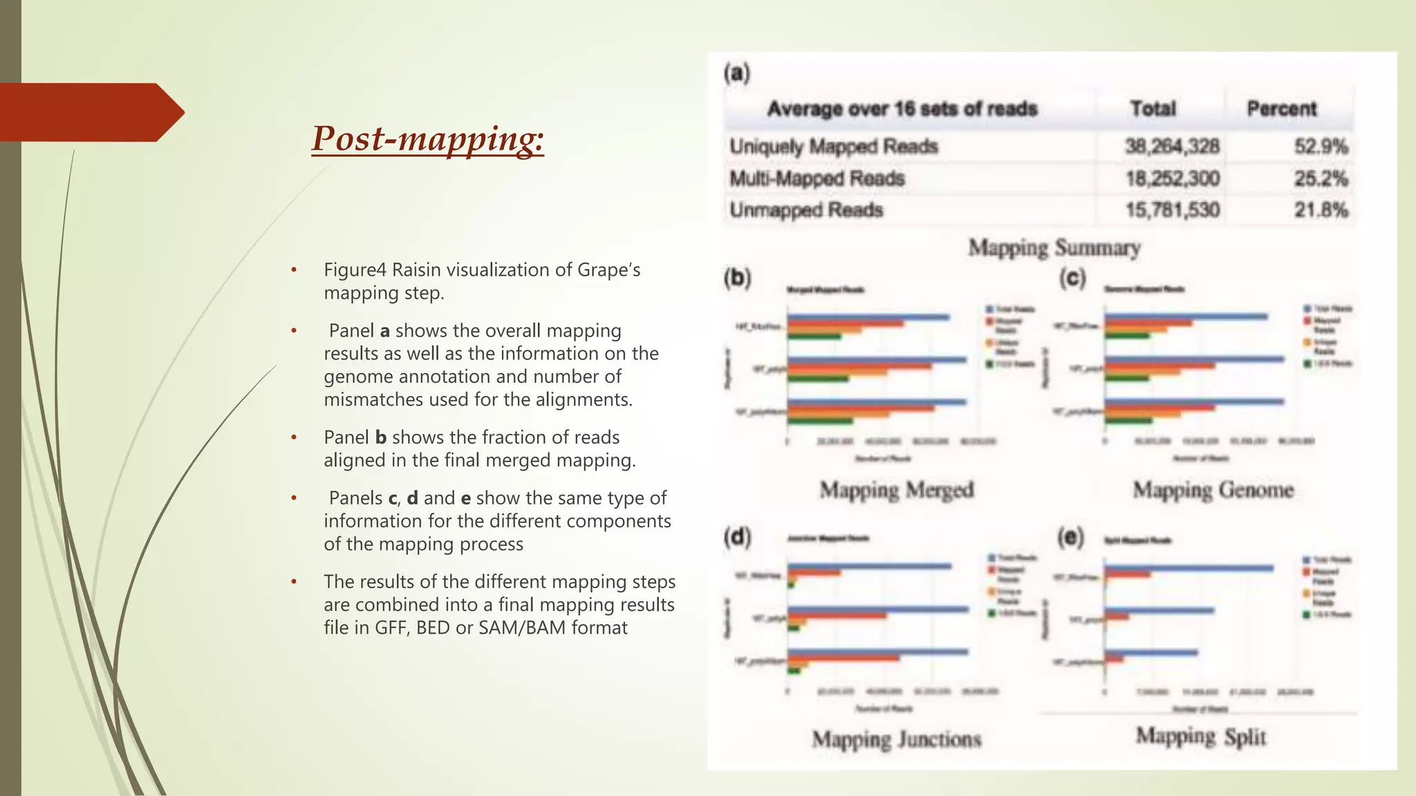 Post-mapping:
• Figure4 Raisin visualization of Grape’s
mapping step.
• Panel a shows the overall mapping
results as well as the information on the
genome annotation and number of
mismatches used for the alignments.
• Panel b shows the fraction of reads
aligned in the final merged mapping.
• Panels c, d and e show the same type of
information for the different components
of the mapping process
• The results of the different mapping steps
are combined into a final mapping results
file in GFF, BED or SAM/BAM format
 