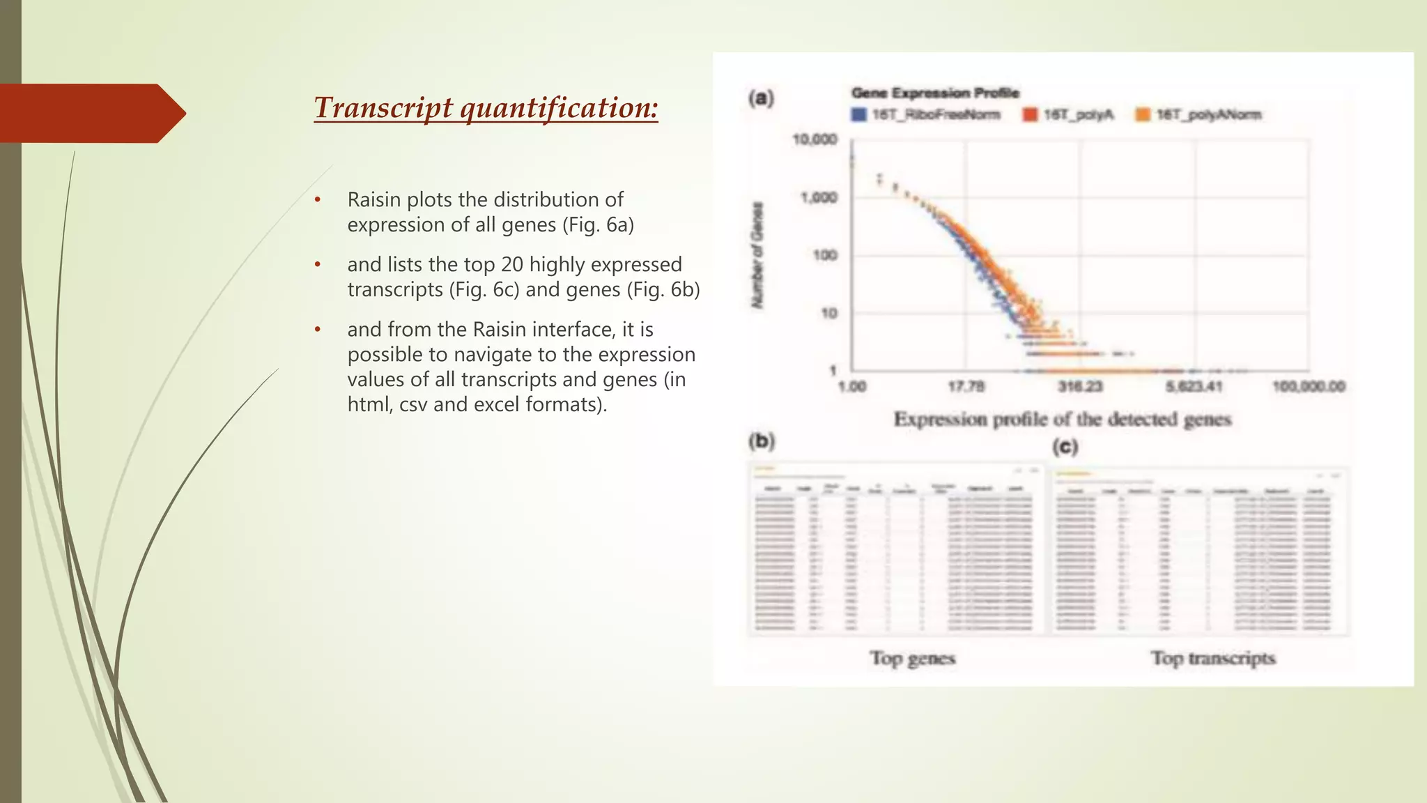 Transcript quantification:
• Raisin plots the distribution of
expression of all genes (Fig. 6a)
• and lists the top 20 highly expressed
transcripts (Fig. 6c) and genes (Fig. 6b)
• and from the Raisin interface, it is
possible to navigate to the expression
values of all transcripts and genes (in
html, csv and excel formats).
 
