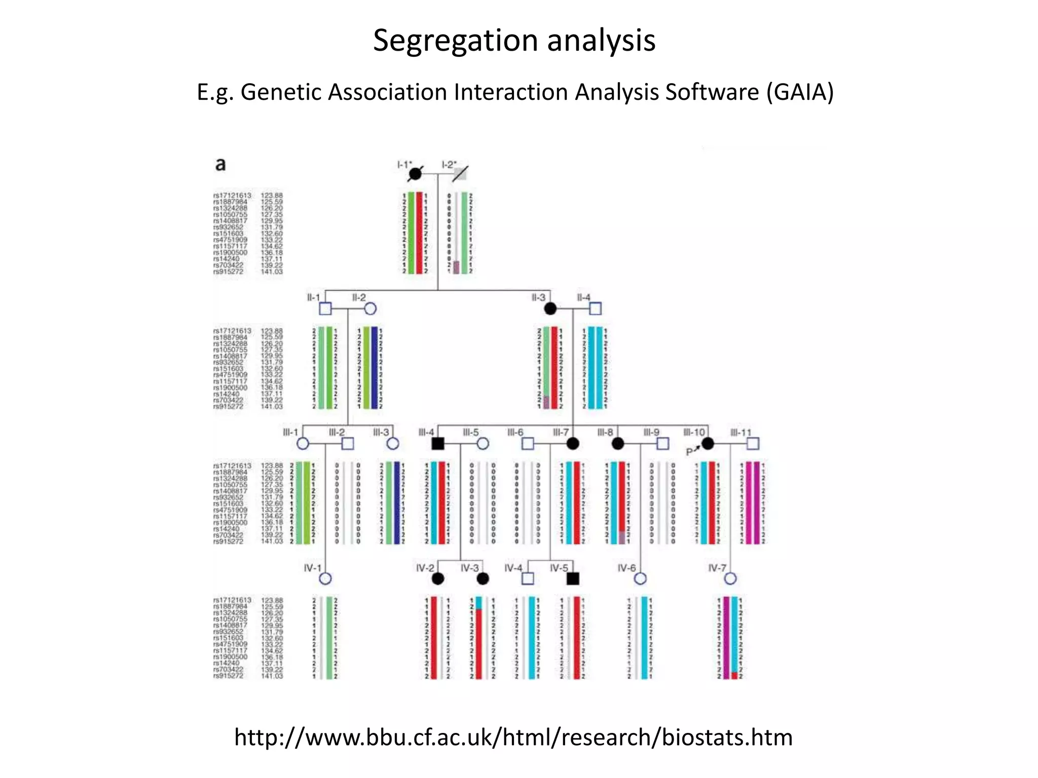 Segregation analysis
E.g. Genetic Association Interaction Analysis Software (GAIA)
http://www.bbu.cf.ac.uk/html/research/biostats.htm
 