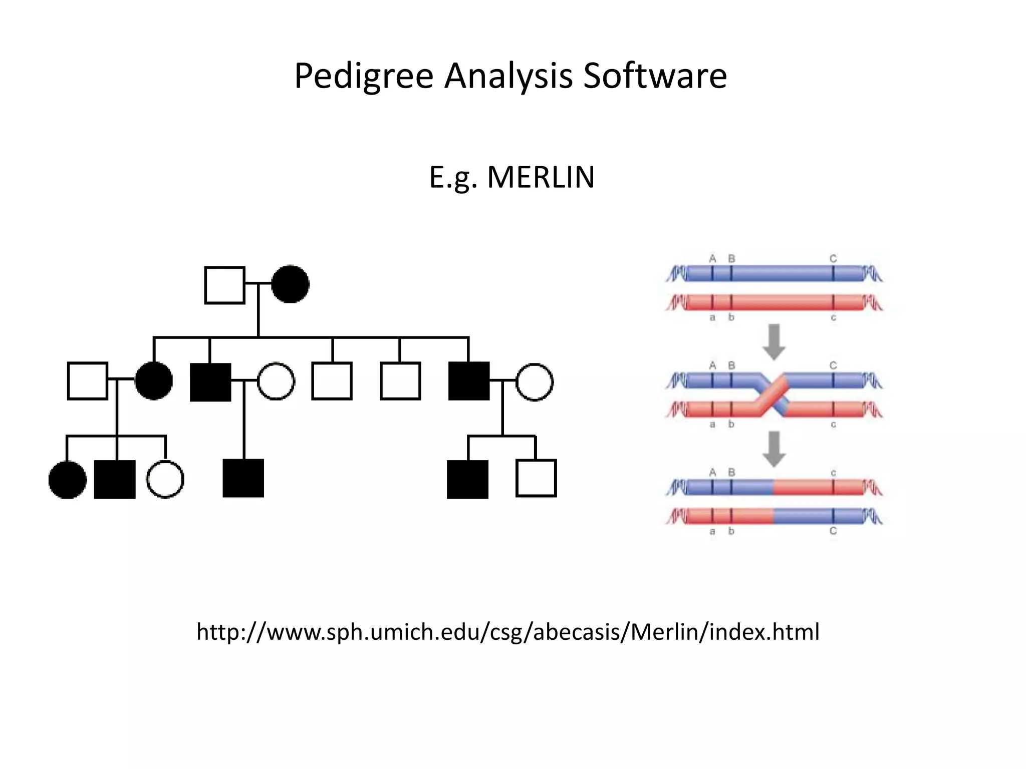 Pedigree Analysis Software
E.g. MERLIN
http://www.sph.umich.edu/csg/abecasis/Merlin/index.html
 