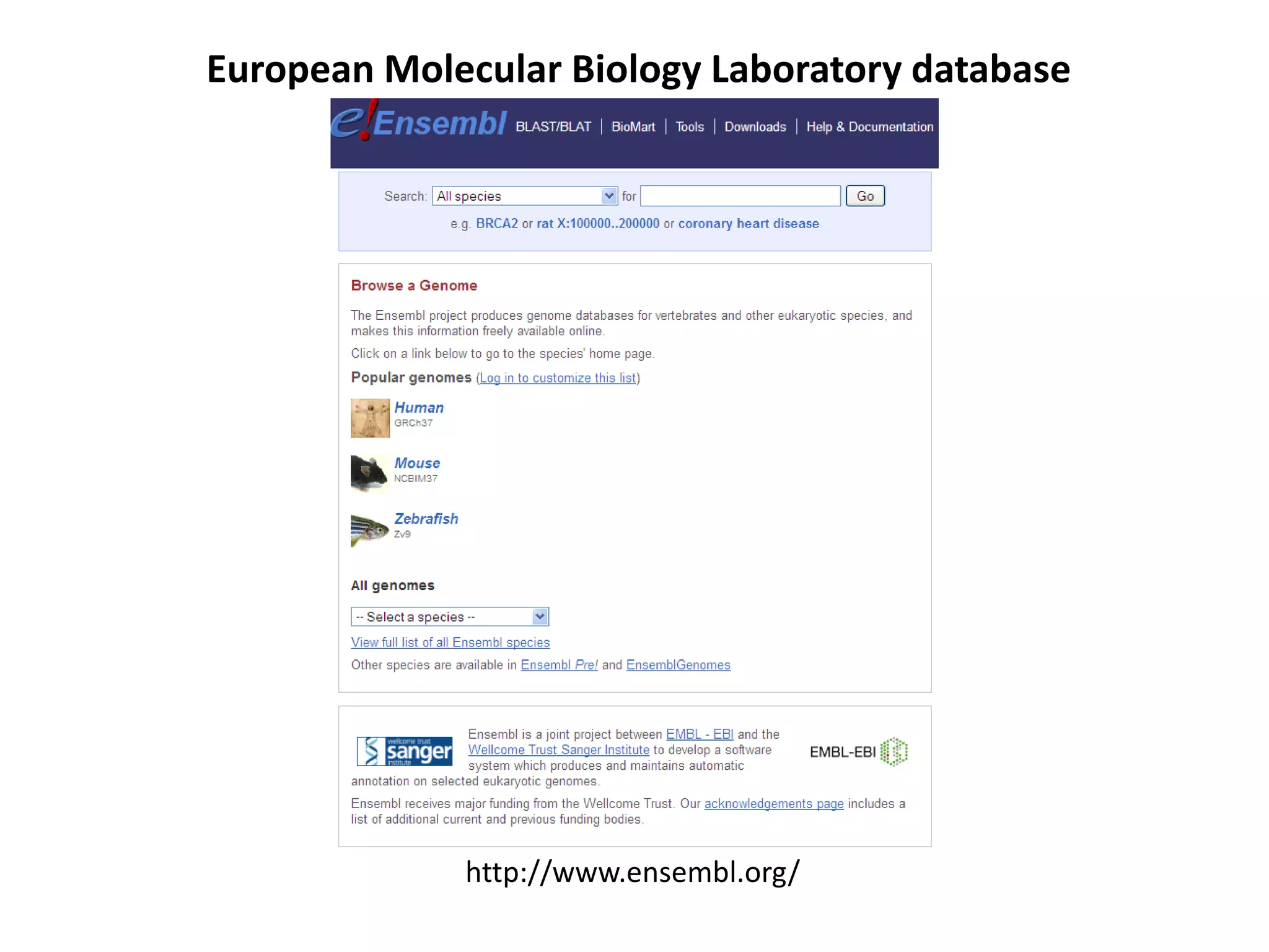 European Molecular Biology Laboratory database
http://www.ensembl.org/
 
