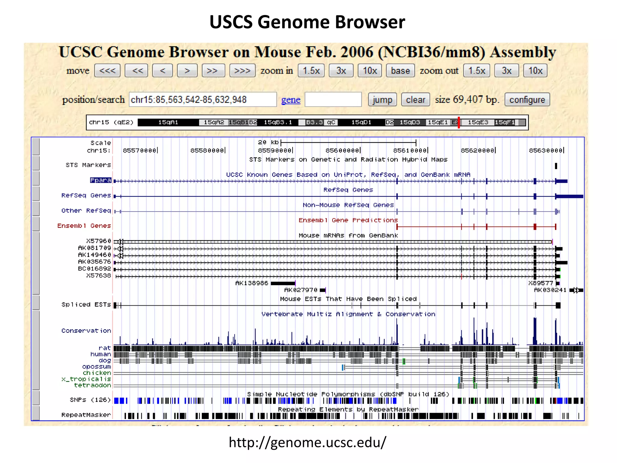 USCS Genome Browser
http://genome.ucsc.edu/
 