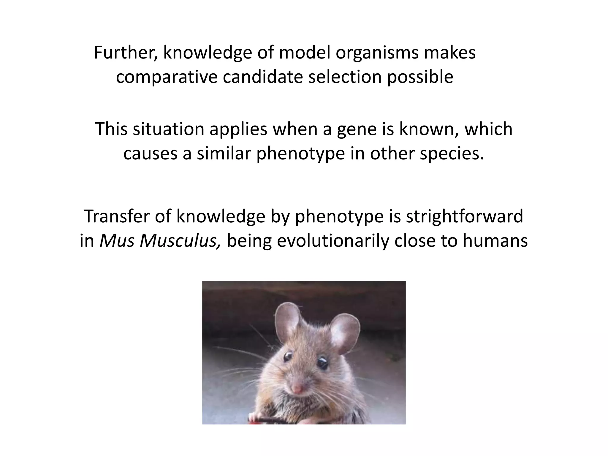 Further, knowledge of model organisms makes
comparative candidate selection possible
This situation applies when a gene is known, which
causes a similar phenotype in other species.
Transfer of knowledge by phenotype is strightforward
in Mus Musculus, being evolutionarily close to humans
 