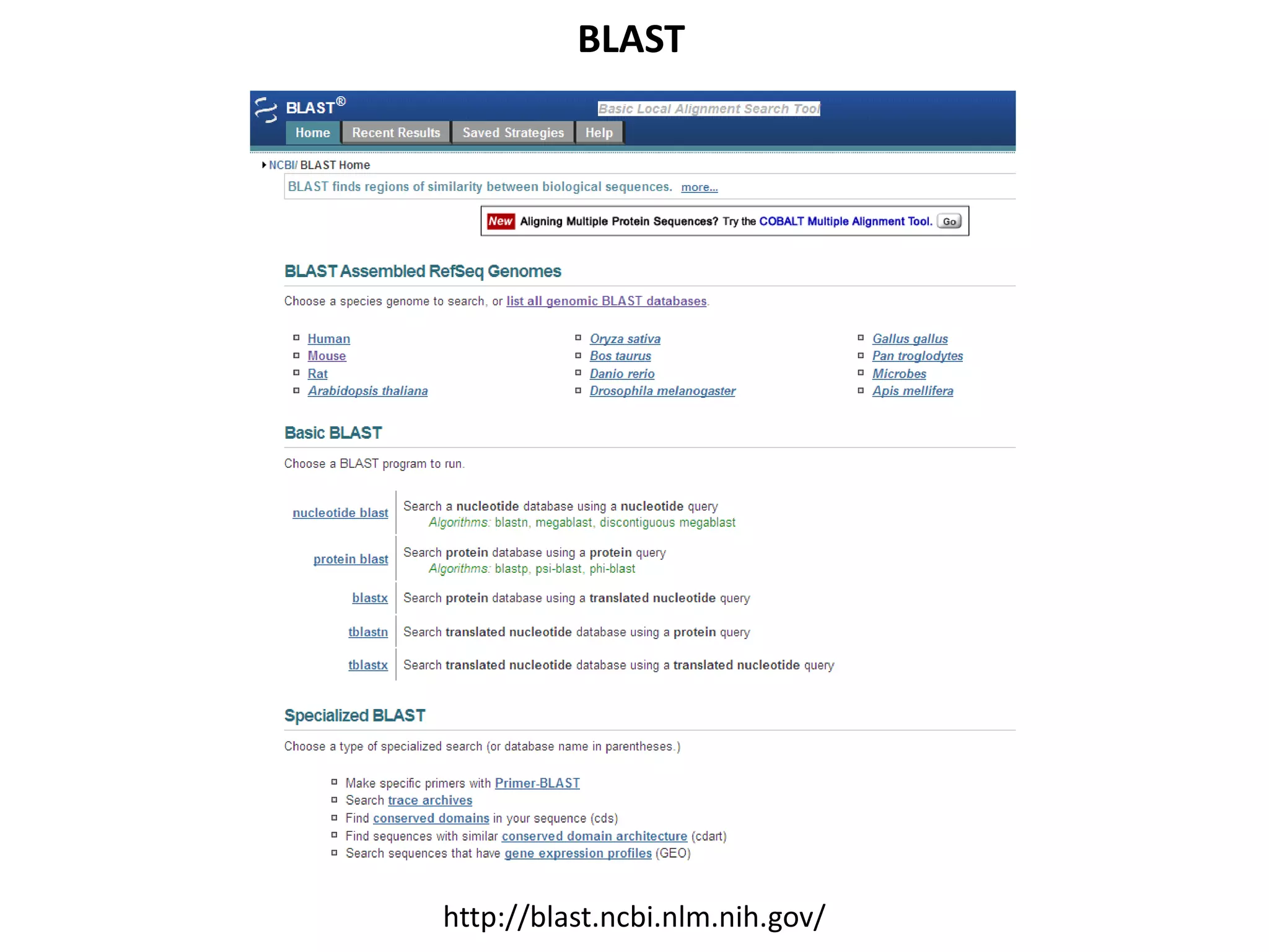 BLAST
http://blast.ncbi.nlm.nih.gov/
 