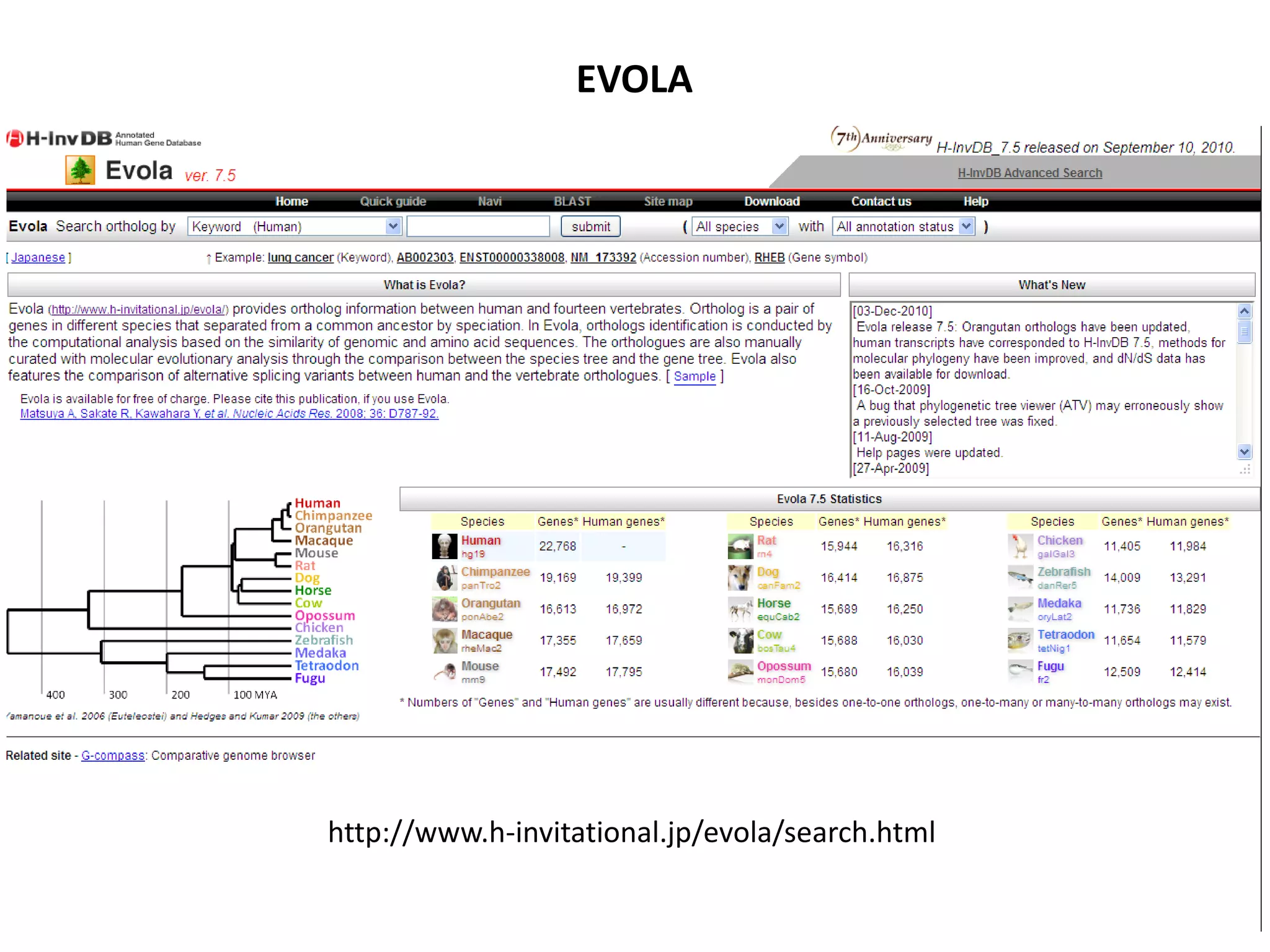 EVOLA
http://www.h-invitational.jp/evola/search.html
 