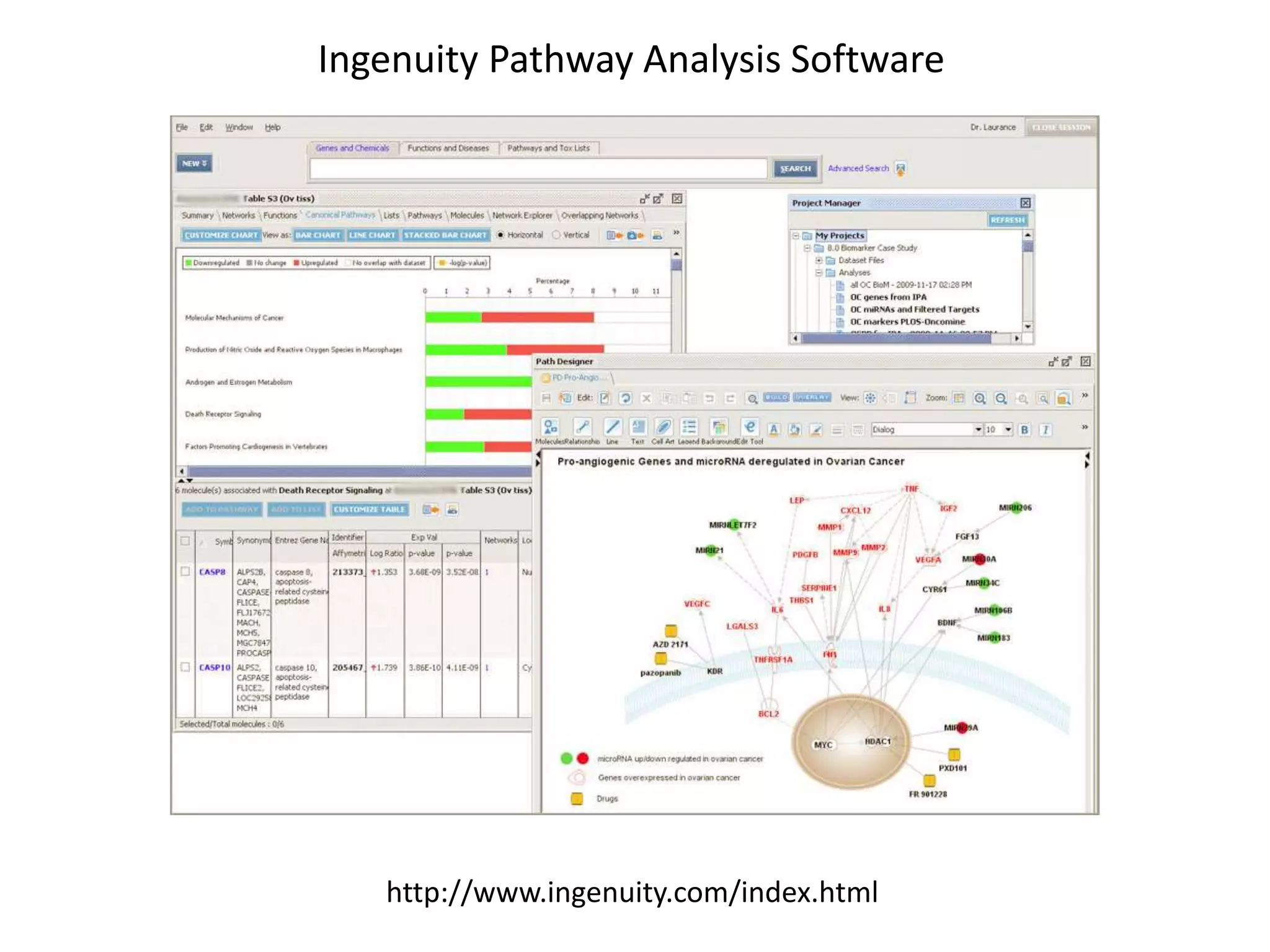 Ingenuity Pathway Analysis Software
http://www.ingenuity.com/index.html
 