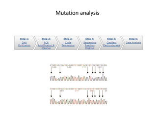 Mutation analysis
 