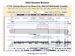 USCS Genome Browser
http://genome.ucsc.edu/
 