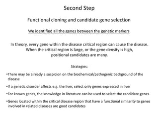 Second Step
Functional cloning and candidate gene selection
We identified all the genes between the genetic markers
In theory, every gene within the disease critical region can cause the disease.
When the critical region is large, or the gene density is high,
positional candidates are many.
Strategies:
•There may be already a suspicion on the biochemical/pathogenic background of the
disease
•If a genetic disorder affects e.g. the liver, select only genes expressed in liver
•For known genes, the knowledge in literature can be used to select the candidate genes
•Genes located within the critical disease region that have a functional similarity to genes
involved in related diseases are good candidates
 