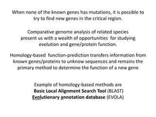 When none of the known genes has mutations, it is possible to
try to find new genes in the critical region.
Comparative genome analysis of related species
present us with a wealth of opportunities for studying
evolution and gene/protein function.
Homology-based function-prediction transfers information from
known genes/proteins to unknow sequences and remains the
primary method to determine the function of a new gene
Example of homology-based methods are
Basic Local Alignment Search Tool (BLAST)
Evolutionary annotation database (EVOLA)
 