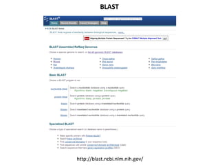 BLAST
http://blast.ncbi.nlm.nih.gov/
 