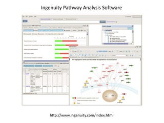 Ingenuity Pathway Analysis Software
http://www.ingenuity.com/index.html
 
