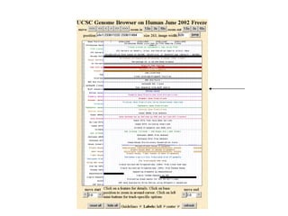 BLAT Human Genome Browser 