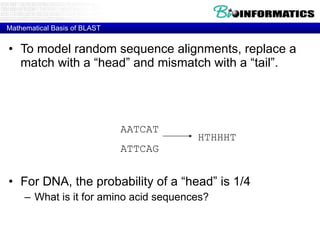 Mathematical Basis of BLAST To model random sequence alignments, replace a match with a “head” and mismatch with a “tail”. For DNA, the probability of a “head” is 1/4 What is it for amino acid sequences? AATCAT ATTCAG HTHHHT 