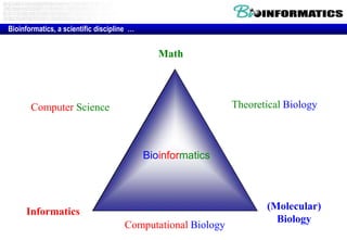 MathTheoretical BiologyComputer Science(Molecular)BiologyInformaticsComputational BiologyBioinformatics, a scientific discipline  …Bioinformatics