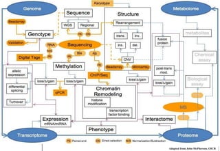 Biological ResearchAdapted from John McPherson, OICR
