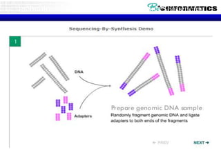 Technology Overview: Solexa/Illumina Sequencing