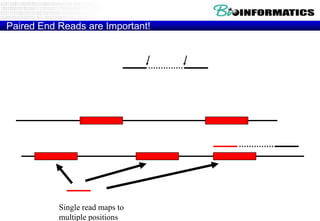 Paired End Reads are Important!Known DistanceRead 1Read 2Repetitive DNAUnique DNAPaired read maps uniquelySingle read maps to multiple positions