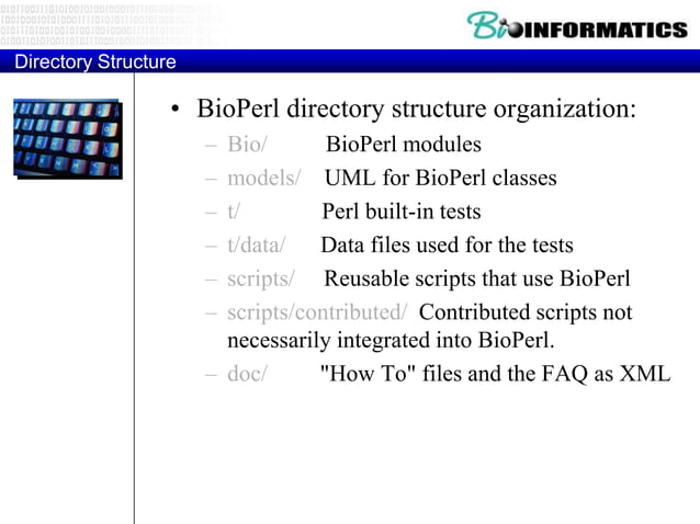 Bioinformatica p6-bioperl | PPTX