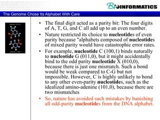 The Genome Chose Its Alphabet With Care

                  • The final digit acted as a parity bit: The four digits
                    of A, T, G, and C all add up to an even number.
                  • Nature restricted its choice to nucleotides of even
                    parity because "alphabets composed of nucleotides
                    of mixed parity would have catastrophic error rates.
                  • For example, nucleotide C (100,1) binds naturally
                    to nucleotide G (011,0), but it might accidentally
                    bind to the odd parity nucleotide X (010,0),
                    because there is just one mismatch. Such a bond
                    would be weak compared to C-G but not
                    impossible. However, C is highly unlikely to bond
                    to any other even-parity nucleotides, such as the
                    idealized amino-adenine (101,0), because there are
                    two mismatches
                  • So, nature has avoided such mistakes by banishing
                    all odd-parity nucleotides from the DNA alphabet.
 