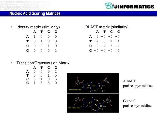 bioedit sequence identity matrix bioedit sequence identity matrix