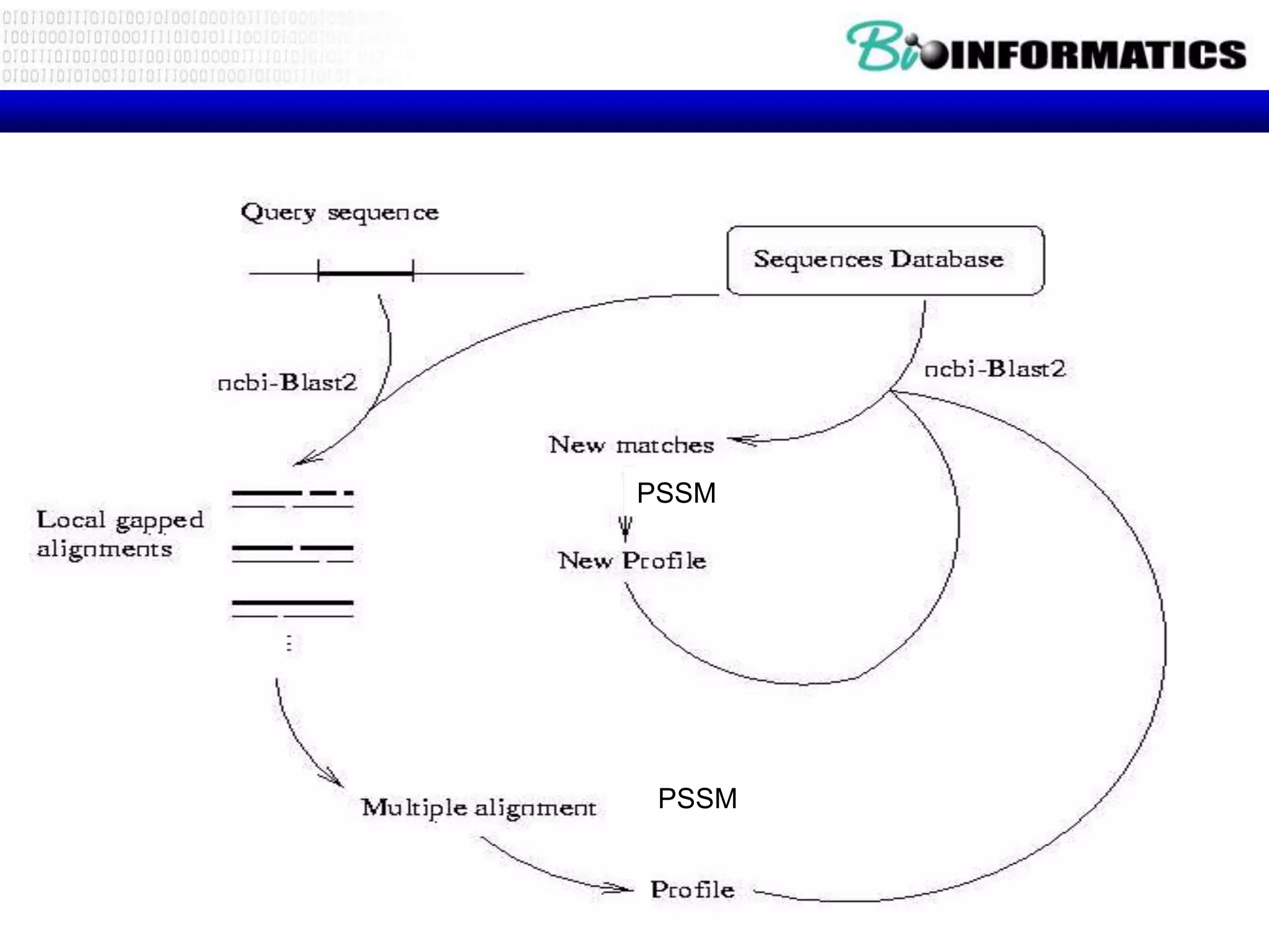 PSI-BLAST PSSM PSSM From: http://bioweb.pasteur.fr/seqanal/blast/intro-uk.html 