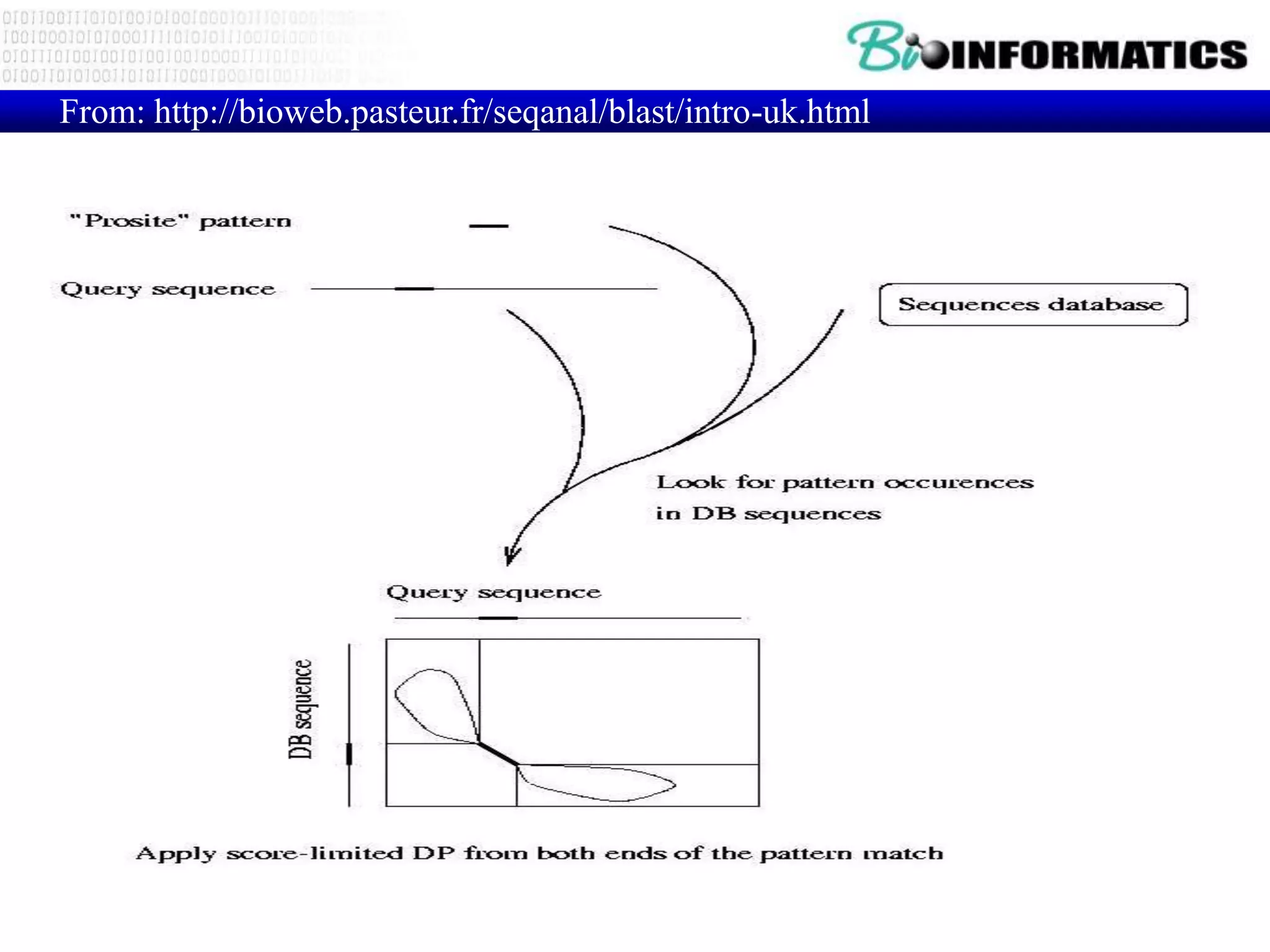 From: http://bioweb.pasteur.fr/seqanal/blast/intro-uk.html PHI-Blast Local Blast 