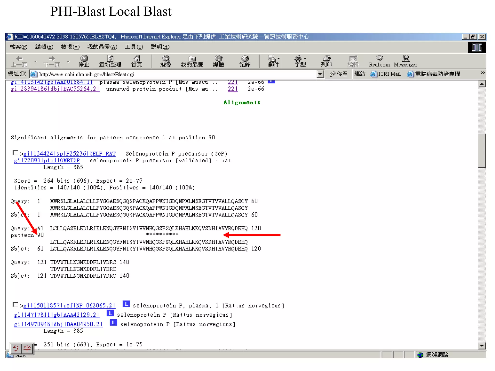 PHI-Blast Local Blast 