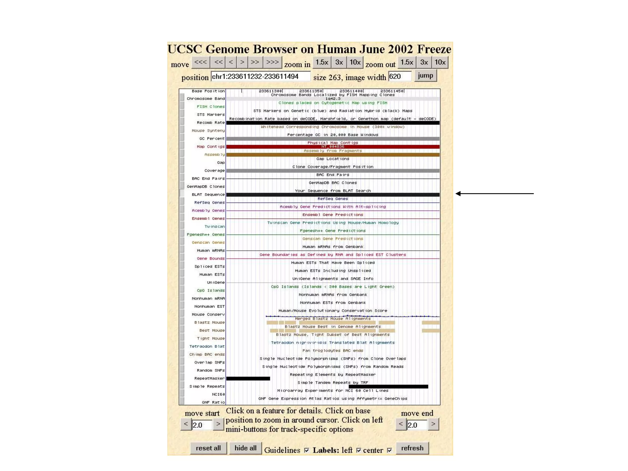 BLAT Human Genome Browser 