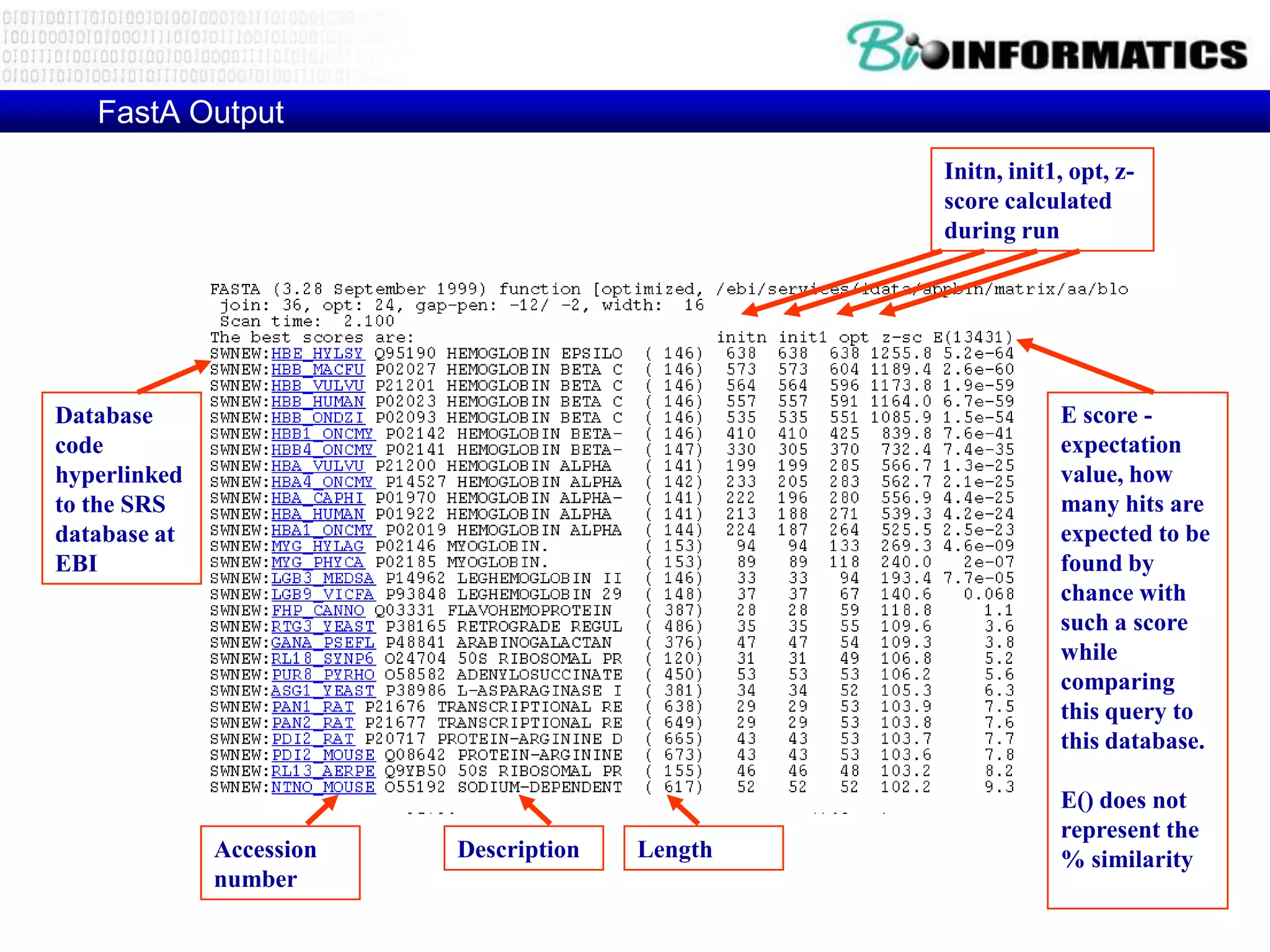 FastA Output Initn, init1, opt, z- score calculated during run Database E score - code expectation hyperlinked value, how to the SRS many hits are database at expected to be EBI found by chance with such a score while comparing this query to this database. E() does not represent the Accession Description Length % similarity number 