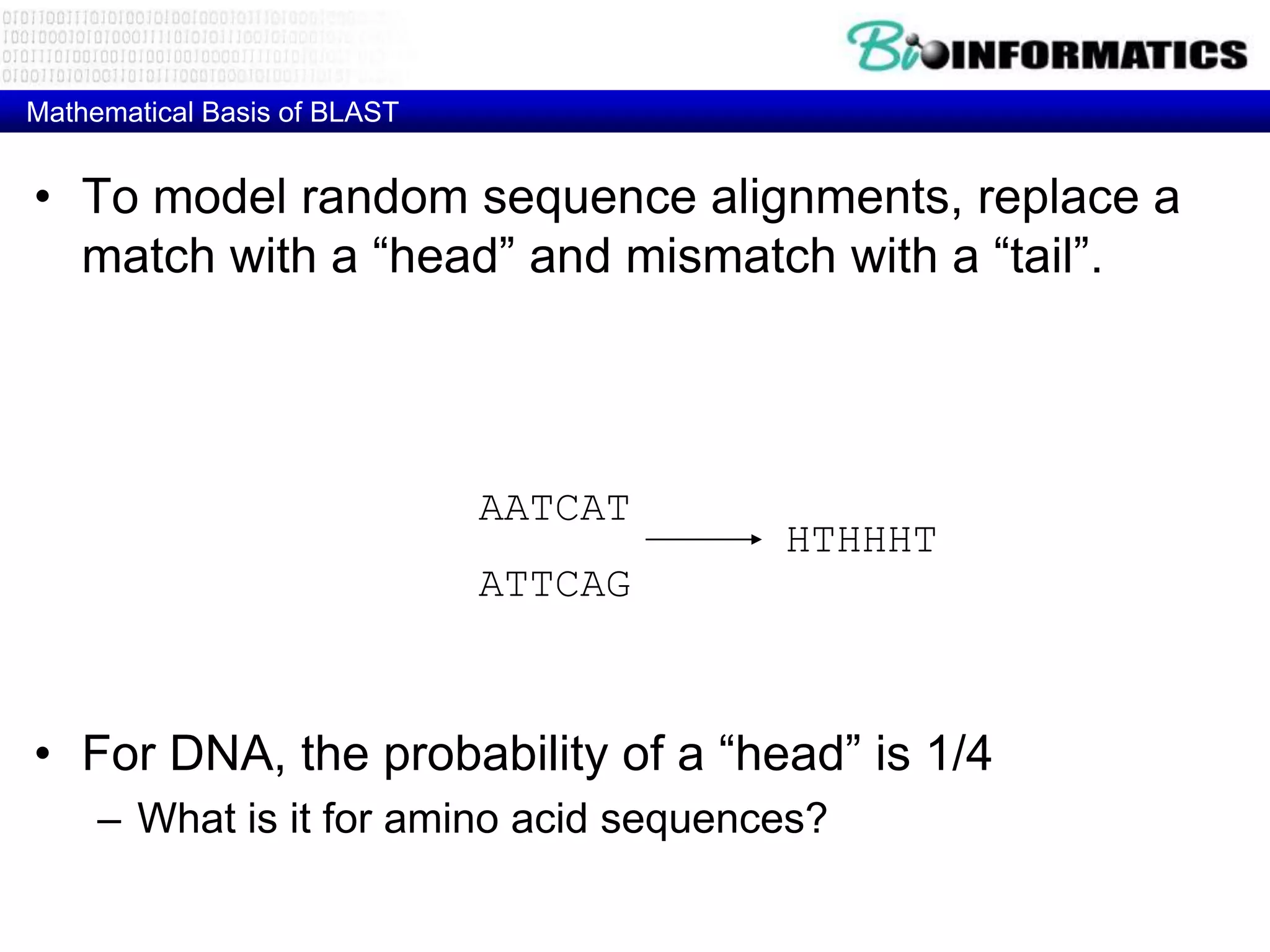 Mathematical Basis of BLAST • To model random sequence alignments, replace a match with a “head” and mismatch with a “tail”. AATCAT HTHHHT ATTCAG • For DNA, the probability of a “head” is 1/4 – What is it for amino acid sequences? 