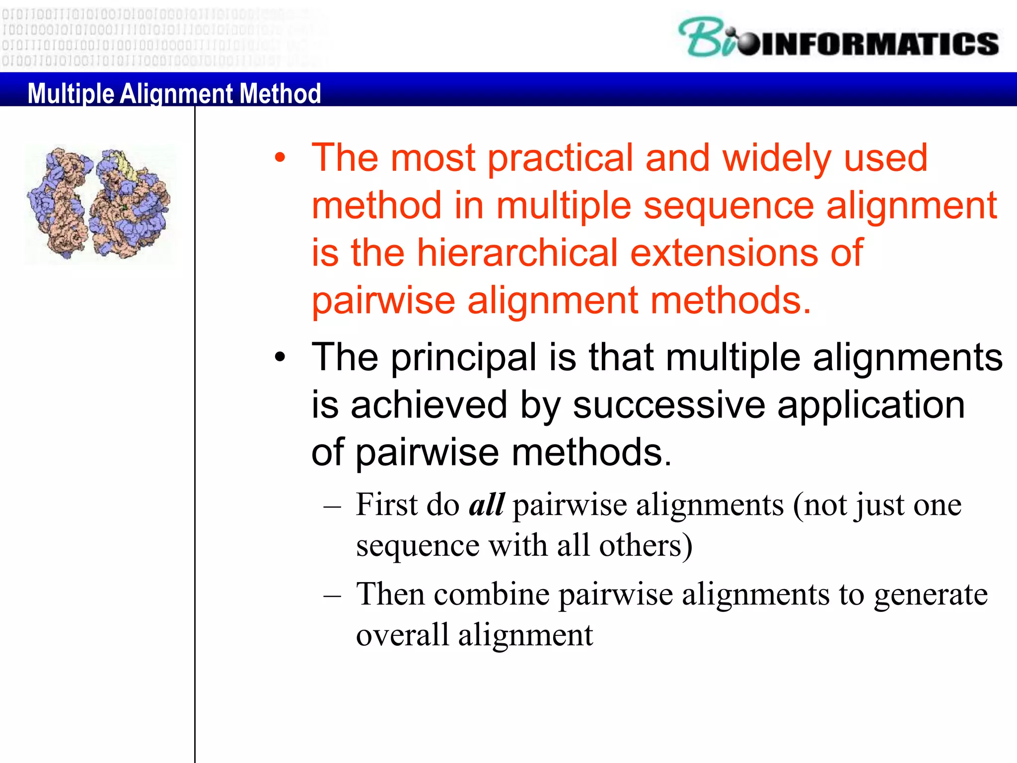 Multiple Alignment Method • The most practical and widely used method in multiple sequence alignment is the hierarchical extensions of pairwise alignment methods. • The principal is that multiple alignments is achieved by successive application of pairwise methods. – First do all pairwise alignments (not just one sequence with all others) – Then combine pairwise alignments to generate overall alignment 