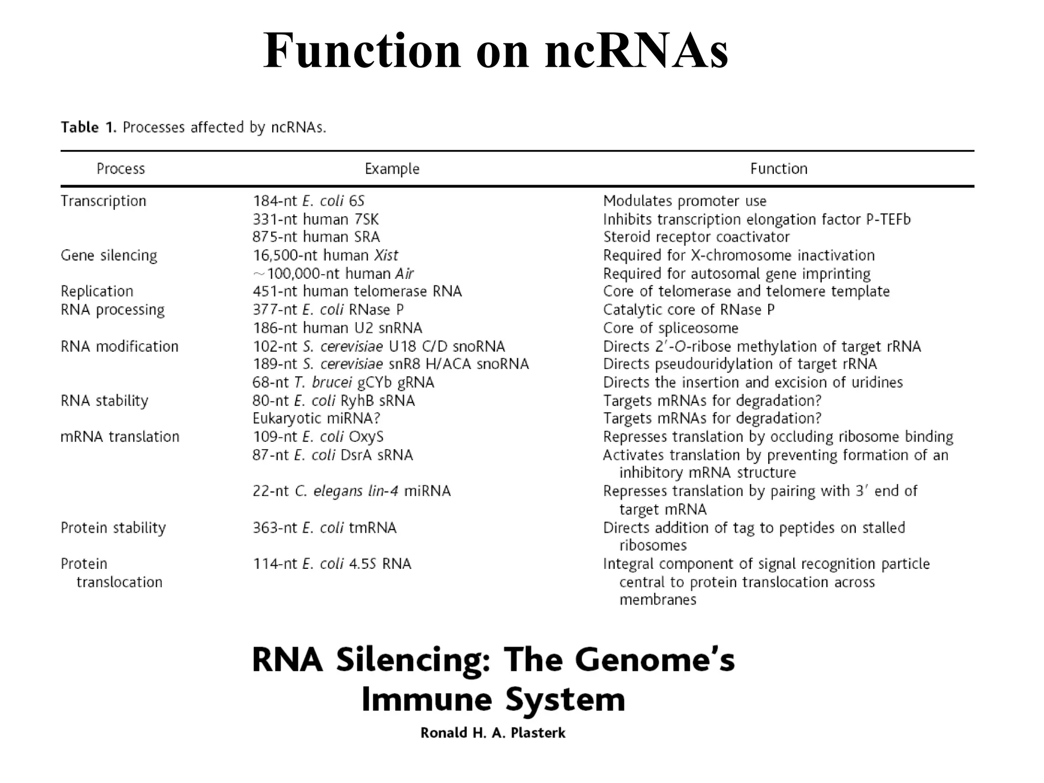 Function on ncRNAs
 