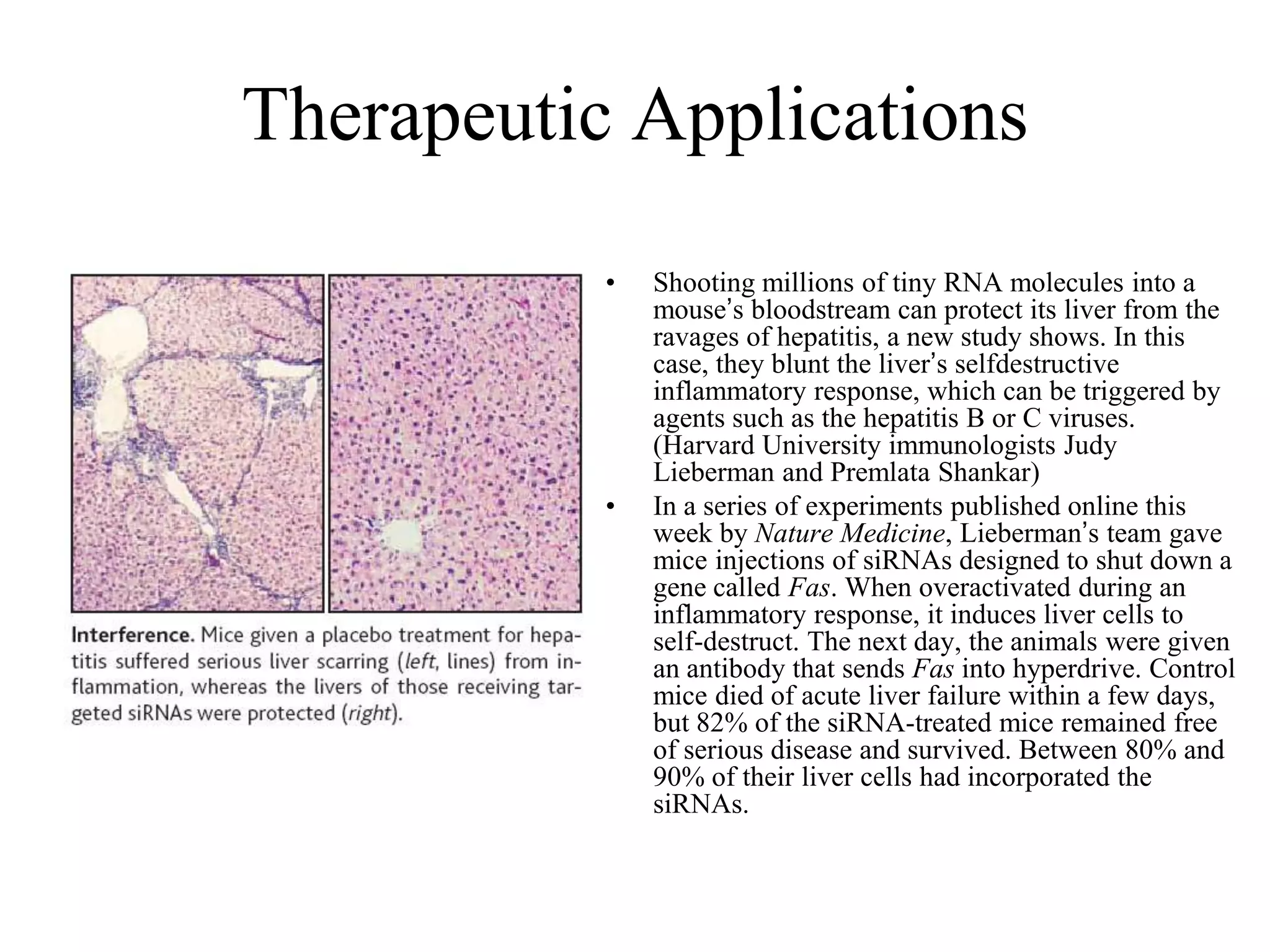 Therapeutic Applications
           •   Shooting millions of tiny RNA molecules into a
               mouse’s bloodstream can protect its liver from the
               ravages of hepatitis, a new study shows. In this
               case, they blunt the liver’s selfdestructive
               inflammatory response, which can be triggered by
               agents such as the hepatitis B or C viruses.
               (Harvard University immunologists Judy
               Lieberman and Premlata Shankar)
           •   In a series of experiments published online this
               week by Nature Medicine, Lieberman’s team gave
               mice injections of siRNAs designed to shut down a
               gene called Fas. When overactivated during an
               inflammatory response, it induces liver cells to
               self-destruct. The next day, the animals were given
               an antibody that sends Fas into hyperdrive. Control
               mice died of acute liver failure within a few days,
               but 82% of the siRNA-treated mice remained free
               of serious disease and survived. Between 80% and
               90% of their liver cells had incorporated the
               siRNAs.
 