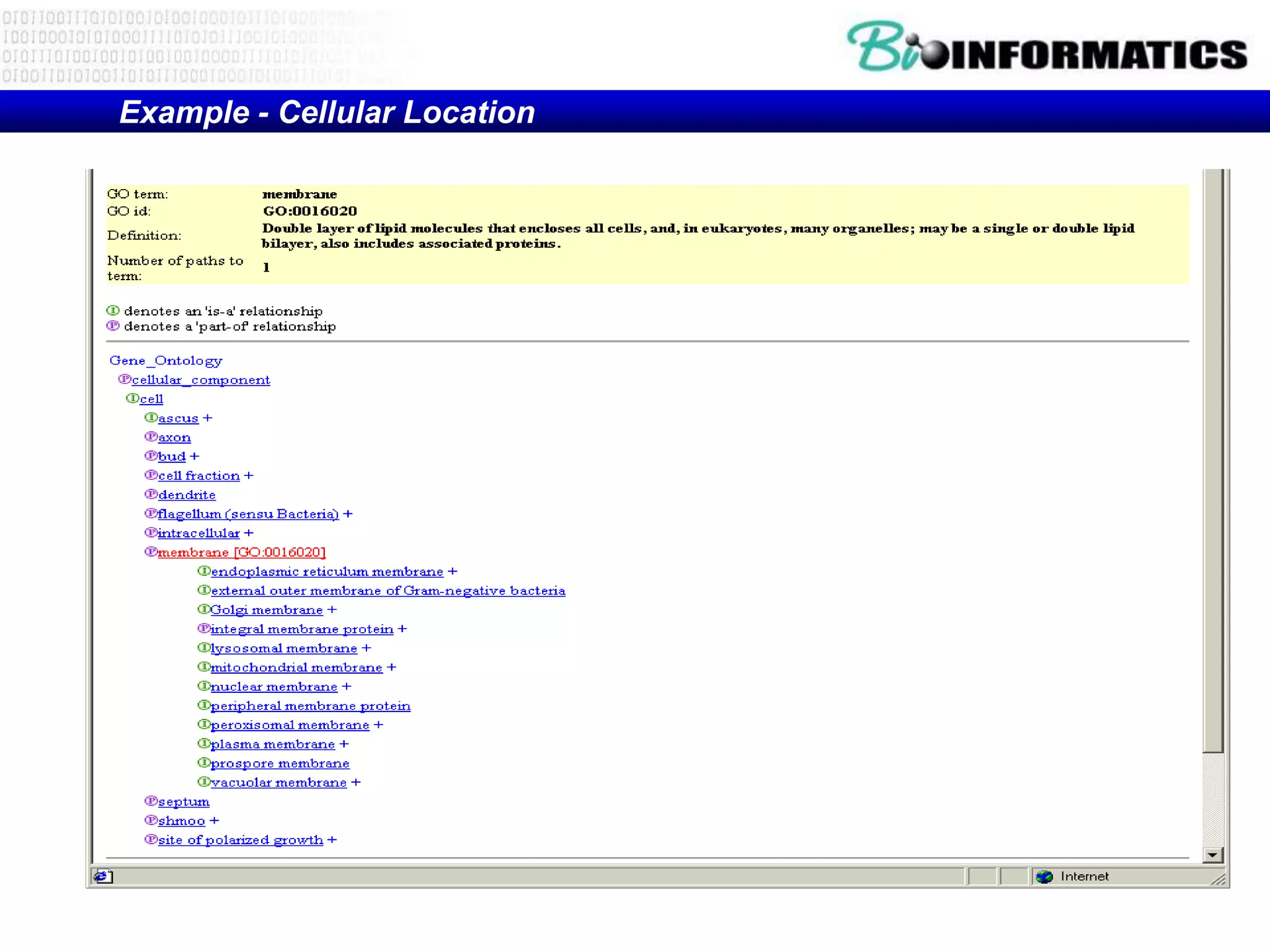 Example - Cellular Location
 