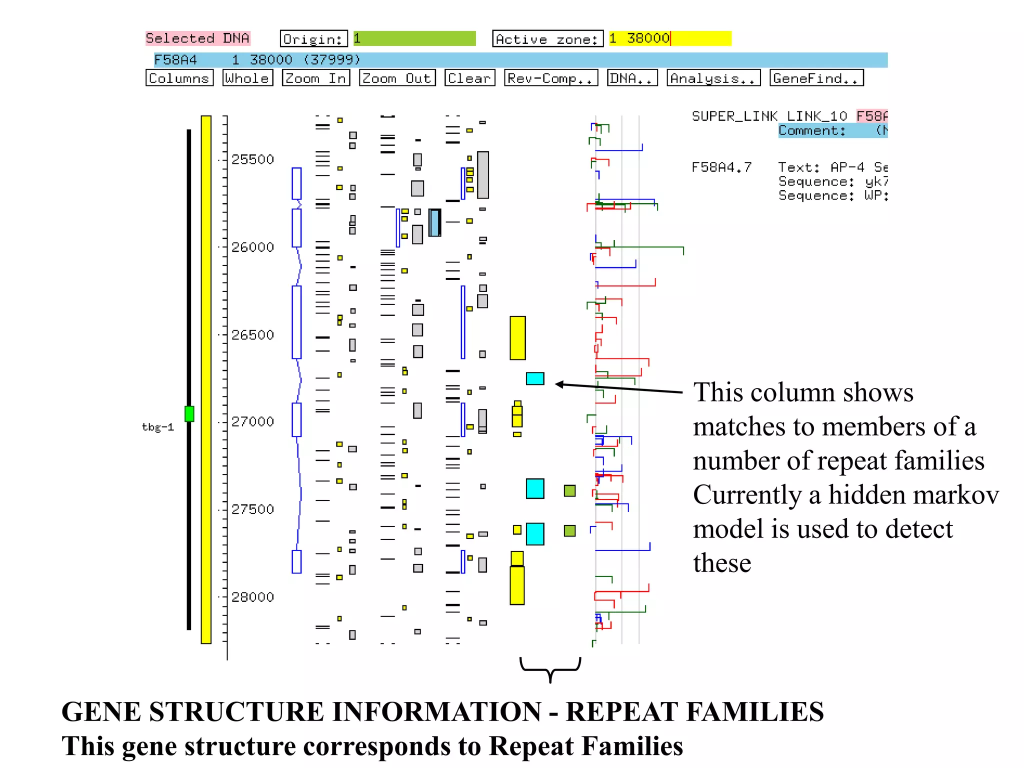 This column shows
                                         matches to members of a
                                         number of repeat families
                                         Currently a hidden markov
                                         model is used to detect
                                         these




GENE STRUCTURE INFORMATION - REPEAT FAMILIES
This gene structure corresponds to Repeat Families
 