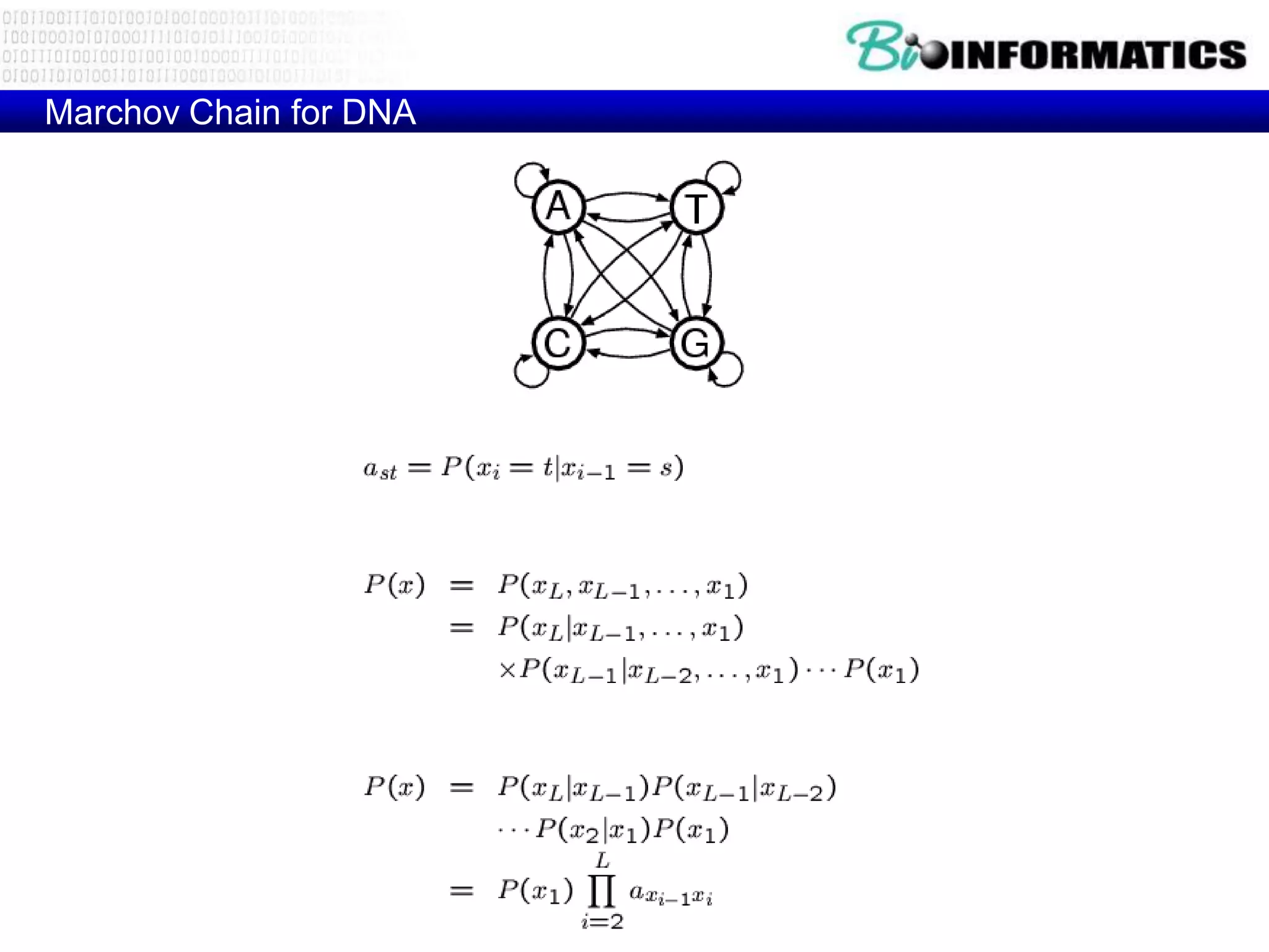 Marchov Chain for DNA
 