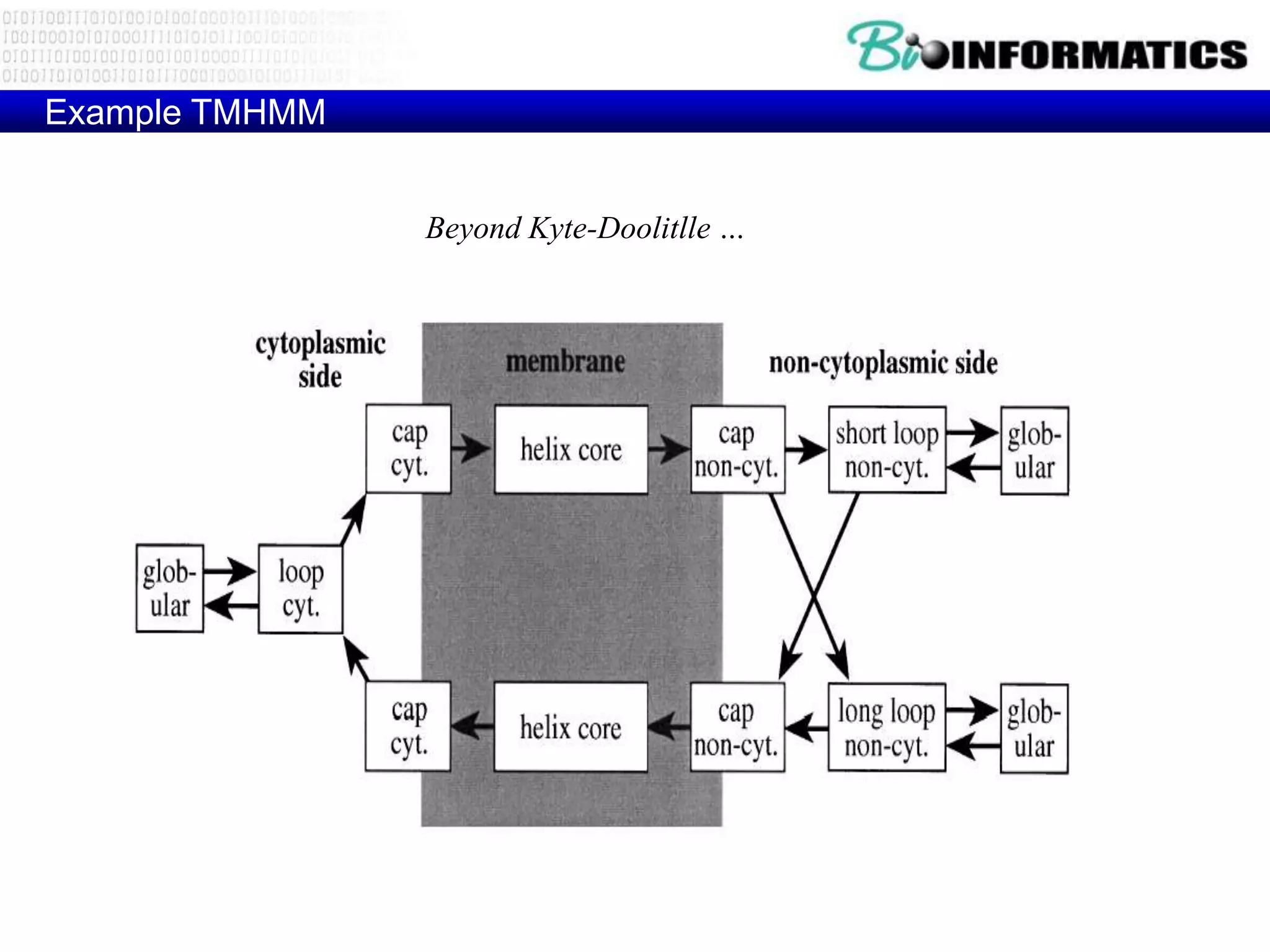 Example TMHMM


                Beyond Kyte-Doolitlle …
 