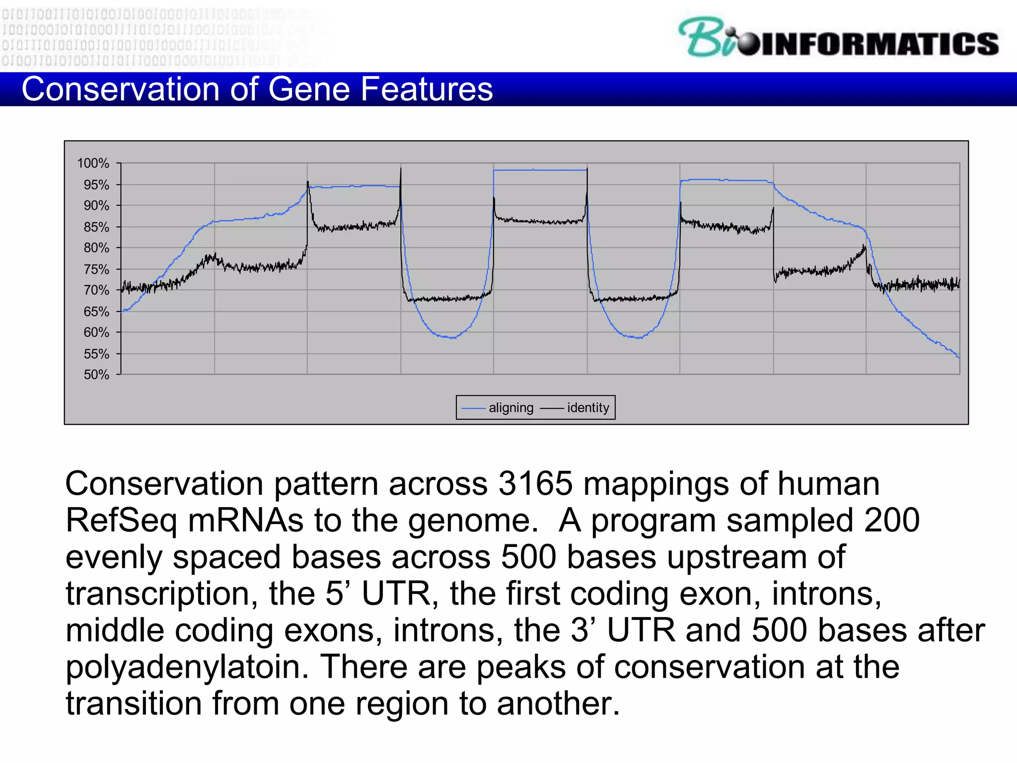 Conservation of Gene Features
   100%
   95%
   90%
   85%
   80%
   75%
   70%
   65%
   60%
   55%
   50%

                             aligning   identity




  Conservation pattern across 3165 mappings of human
  RefSeq mRNAs to the genome. A program sampled 200
  evenly spaced bases across 500 bases upstream of
  transcription, the 5’ UTR, the first coding exon, introns,
  middle coding exons, introns, the 3’ UTR and 500 bases after
  polyadenylatoin. There are peaks of conservation at the
  transition from one region to another.
 