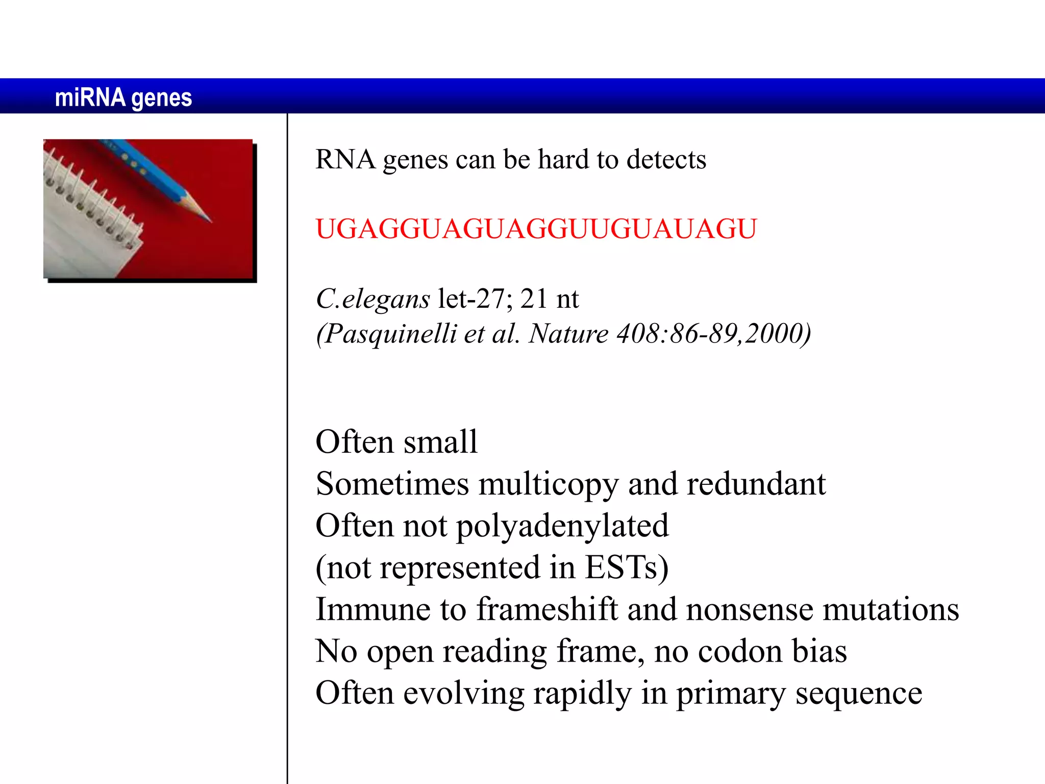 miRNA genes

              RNA genes can be hard to detects

              UGAGGUAGUAGGUUGUAUAGU

              C.elegans let-27; 21 nt
              (Pasquinelli et al. Nature 408:86-89,2000)


              Often small
              Sometimes multicopy and redundant
              Often not polyadenylated
              (not represented in ESTs)
              Immune to frameshift and nonsense mutations
              No open reading frame, no codon bias
              Often evolving rapidly in primary sequence
 