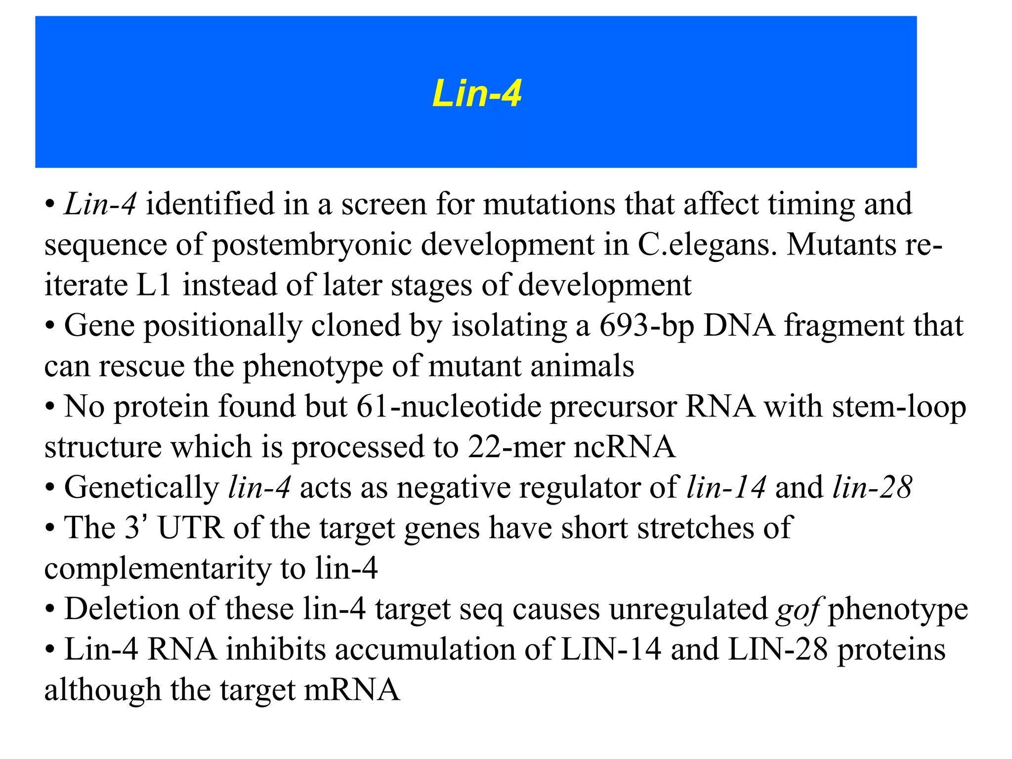 Lin-4

• Lin-4 identified in a screen for mutations that affect timing and
sequence of postembryonic development in C.elegans. Mutants re-
iterate L1 instead of later stages of development
• Gene positionally cloned by isolating a 693-bp DNA fragment that
can rescue the phenotype of mutant animals
• No protein found but 61-nucleotide precursor RNA with stem-loop
structure which is processed to 22-mer ncRNA
• Genetically lin-4 acts as negative regulator of lin-14 and lin-28
• The 3’ UTR of the target genes have short stretches of
complementarity to lin-4
• Deletion of these lin-4 target seq causes unregulated gof phenotype
• Lin-4 RNA inhibits accumulation of LIN-14 and LIN-28 proteins
although the target mRNA
 