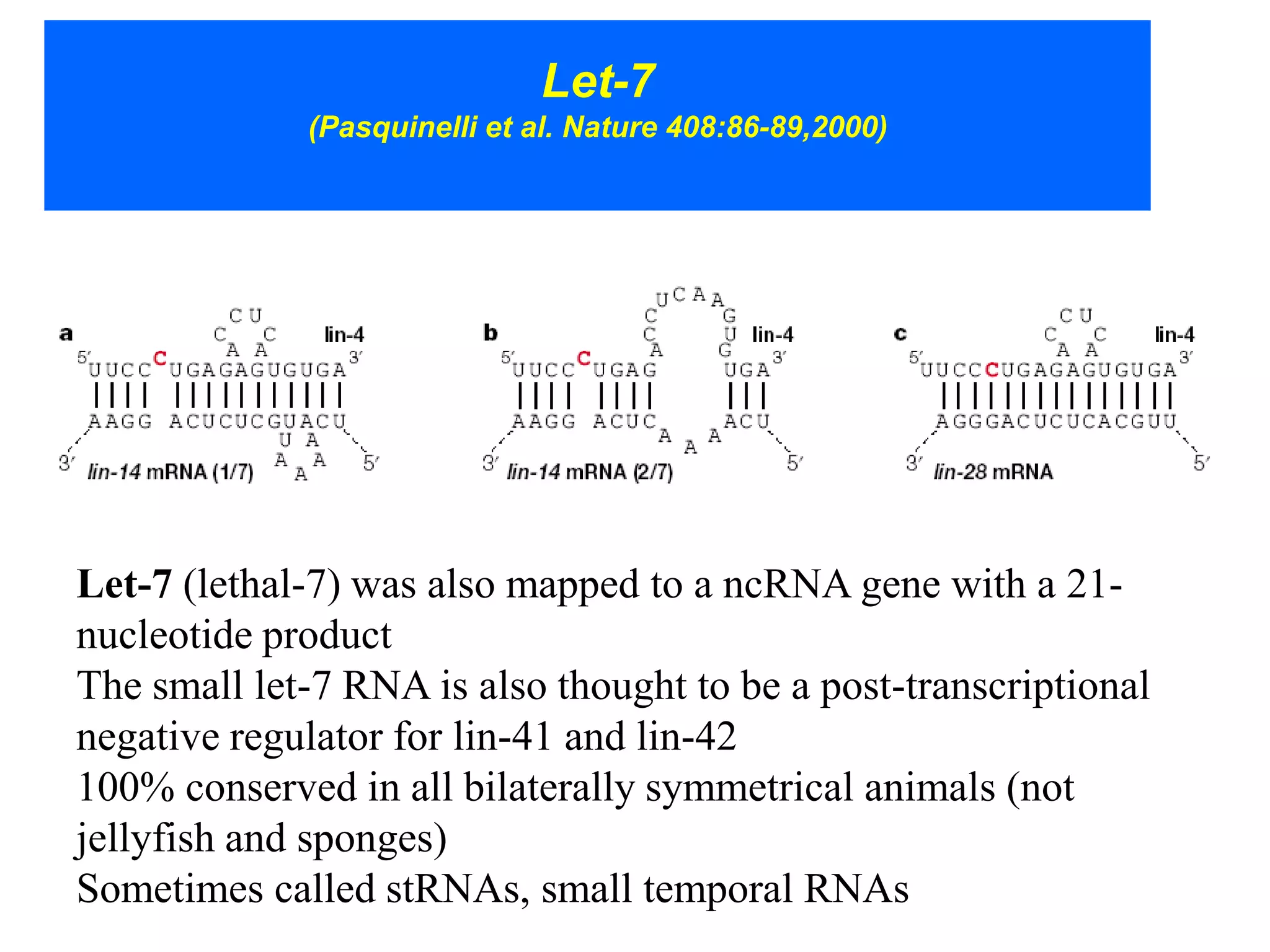 Let-7
             (Pasquinelli et al. Nature 408:86-89,2000)




Let-7 (lethal-7) was also mapped to a ncRNA gene with a 21-
nucleotide product
The small let-7 RNA is also thought to be a post-transcriptional
negative regulator for lin-41 and lin-42
100% conserved in all bilaterally symmetrical animals (not
jellyfish and sponges)
Sometimes called stRNAs, small temporal RNAs
 